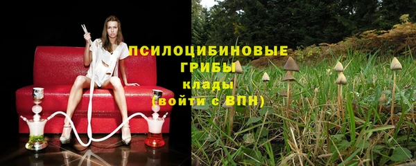 дмт Абдулино
