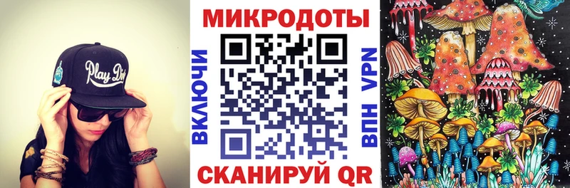 магазин    Дмитриев  кракен маркетплейс  Галлюциногенные грибы Cubensis 